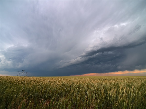 Kansas Storm Field Picture Board by mark humpage