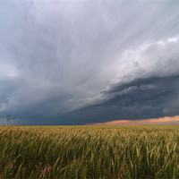 Buy canvas prints of Kansas Storm Field by mark humpage