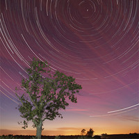 Buy canvas prints of Star trail and tree by mark humpage