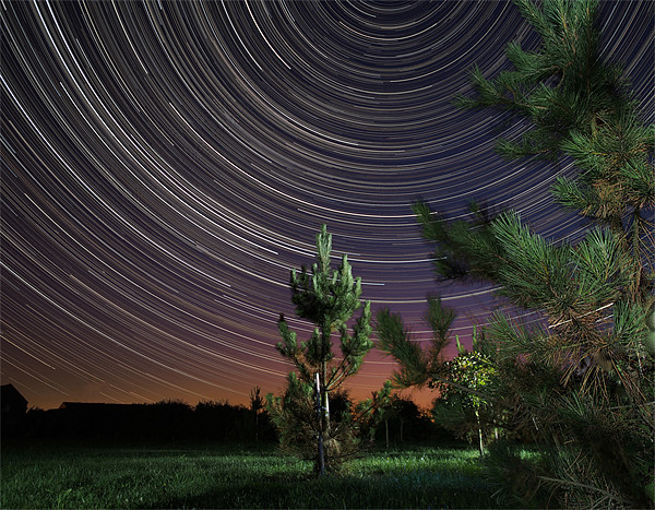 Summer Startrail Picture Board by mark humpage