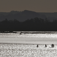 Buy canvas prints of Surfers on Severn Bore by mark humpage
