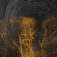 Buy canvas prints of Star trail with trees by mark humpage