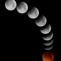 Buy canvas prints of  Lunar Eclipse Montage by mark humpage