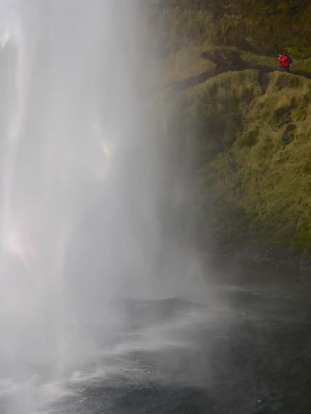 Seljalandsfoss waterfall, Iceland     Picture Board by mark humpage