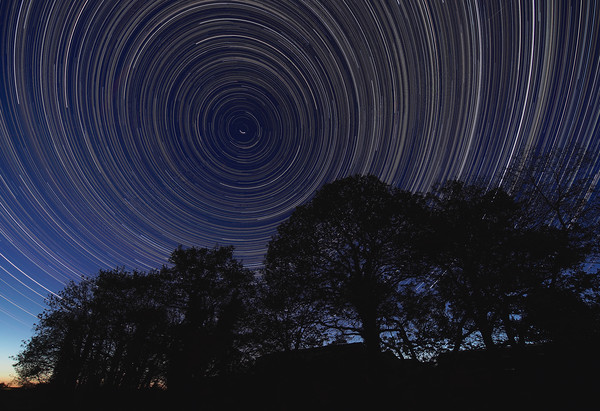 Startrail with trees Picture Board by mark humpage