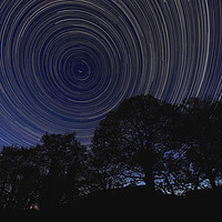 Buy canvas prints of Startrail with trees by mark humpage