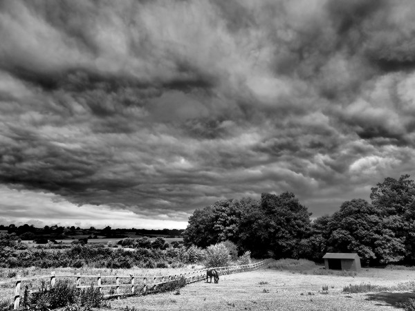 Stormy skies black and white Picture Board by mark humpage