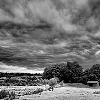 Buy canvas prints of Stormy skies black and white by mark humpage