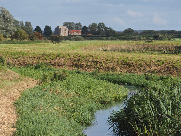 Norfolk countryside with Pentney Abbey  Picture Board by mark humpage