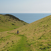 Buy canvas prints of Devon coast walk by mark humpage