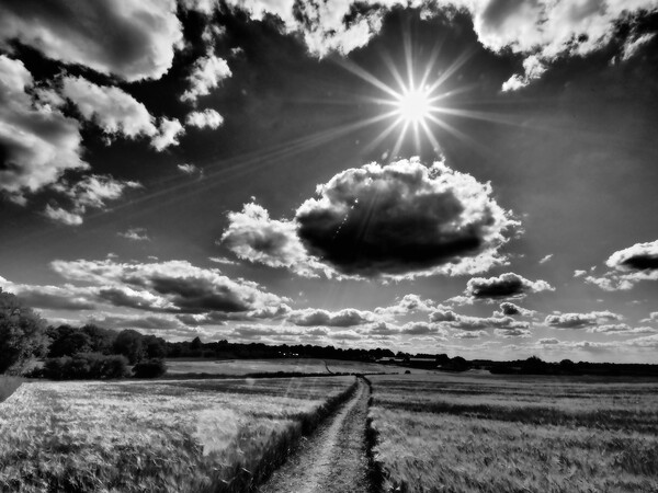 Sun bursting through clouds, black and white. Picture Board by mark humpage