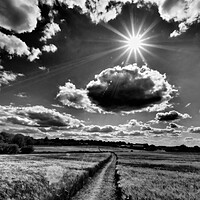 Buy canvas prints of Sun bursting through clouds, black and white. by mark humpage