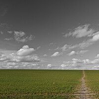 Buy canvas prints of Footpath leading to sky, Leicestershire by mark humpage