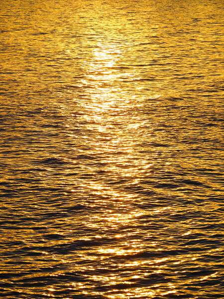 Golden sunset reflections over water Picture Board by mark humpage