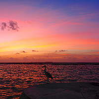 Buy canvas prints of Red sky sunset sea view over water with heron by mark humpage
