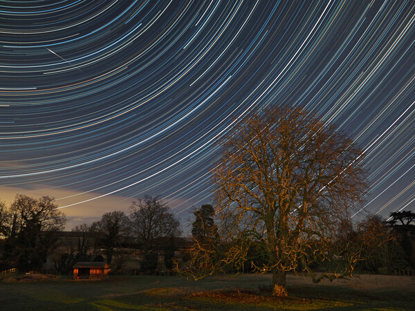 Stars and Meteor in night sky Picture Board by mark humpage