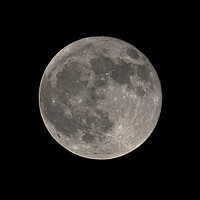 Buy canvas prints of Full moon by mark humpage