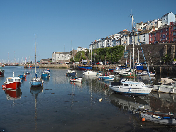 Sailing boats moored in Brixham harbour Picture Board by mark humpage