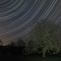 Buy canvas prints of Easter stars over conker tree by mark humpage