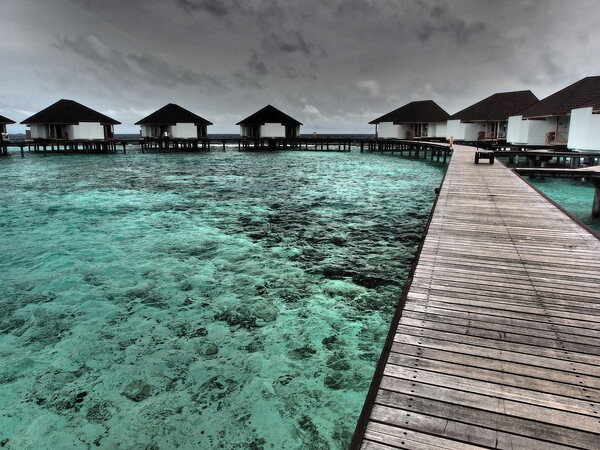 Water bungalows in Maldives Picture Board by mark humpage