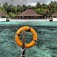 Buy canvas prints of Pool bar with tropical garden and trees in Maldives by mark humpage