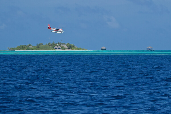 Sea plane landing on water in Maldives Picture Board by mark humpage