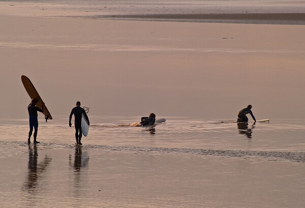 Surfers walking out to water with surfboards Picture Board by mark humpage