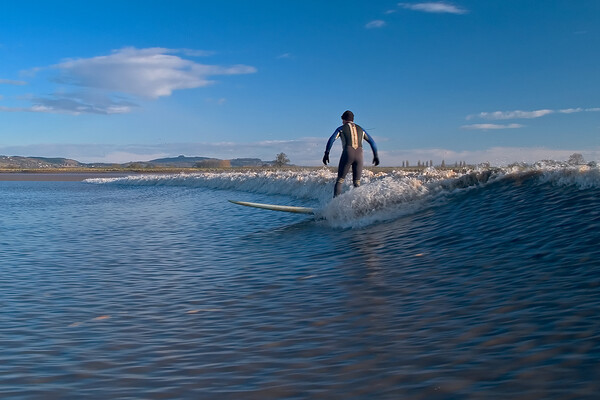 Lone surfer riding a wave on the river Severn Picture Board by mark humpage