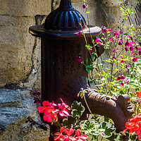 Buy canvas prints of The Old Water Pump by Peter Jarvis