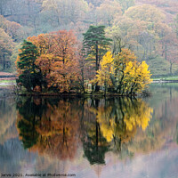 Buy canvas prints of Autumn at Rydal Water by Peter Jarvis
