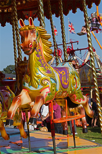 Carousel Horse in colour Picture Board by Bill Simpson