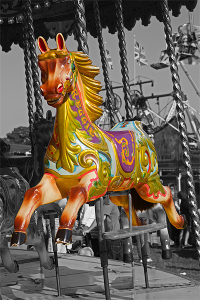 Carousel Horse on Black and White Picture Board by Bill Simpson