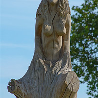 Buy canvas prints of Woman emerging from tree by Bill Simpson