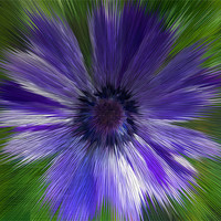 Buy canvas prints of Abstract Blue Anemone by Bill Simpson