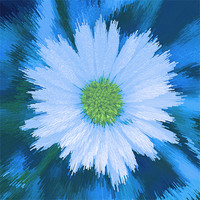 Buy canvas prints of Abstract Daisy on blue by Bill Simpson