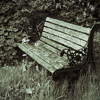 Buy canvas prints of Neglected Bench by Bill Simpson