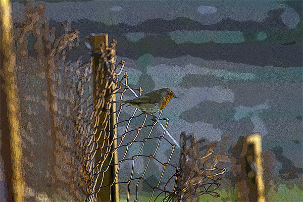 Robin on Wire Picture Board by Bill Simpson