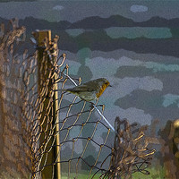 Buy canvas prints of Robin on Wire by Bill Simpson