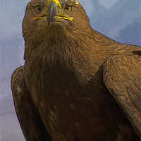 Buy canvas prints of Golden Eagle Portrait with texture by Bill Simpson