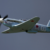 Buy canvas prints of Yak 3 by Bill Simpson