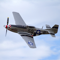 Buy canvas prints of Mustang P51 Portrait by Bill Simpson