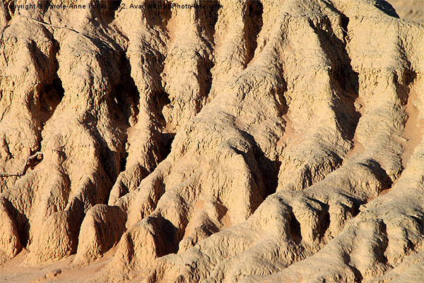 Erosion Detail at Mungo Picture Board by Carole-Anne Fooks