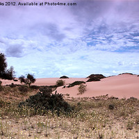Buy canvas prints of Dunes, Late Afternoon at Mungo by Carole-Anne Fooks