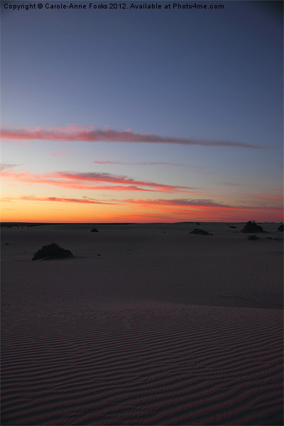Before Sunrise at Mungo Picture Board by Carole-Anne Fooks