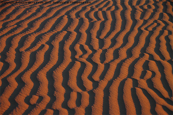 Dune Pattern Picture Board by Carole-Anne Fooks