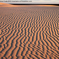 Buy canvas prints of Dunes at Sunrise, Mungo by Carole-Anne Fooks