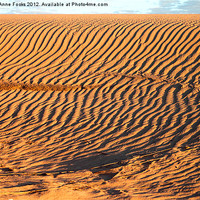 Buy canvas prints of Dune detail after Sunrise by Carole-Anne Fooks