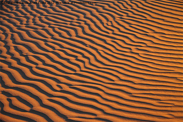 Dune detail after Sunrise Picture Board by Carole-Anne Fooks