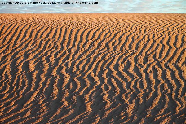 Slithering Sand after Sunrise Picture Board by Carole-Anne Fooks