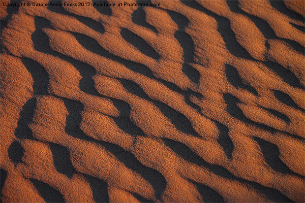 Dune Pattern Detail Picture Board by Carole-Anne Fooks
